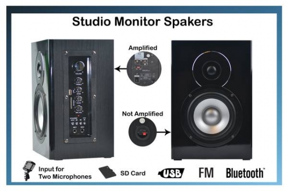 Amplified and Passive Studio Monitor Speakers | Bluetooth/FM/USB/SD - $135 (Glendale)