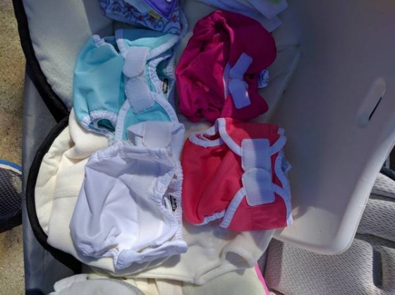 Thisties Cloth diaper covers & Fuzzibunz